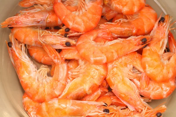 Shrimps background — Stock Photo, Image