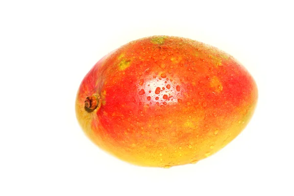 Mango — Stock Photo, Image
