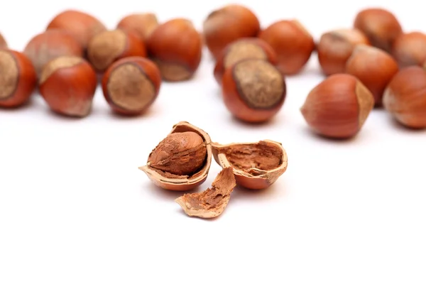 stock image Hazelnuts (filbert)