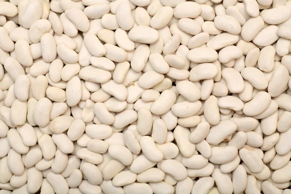 白扁豆 — 图库照片