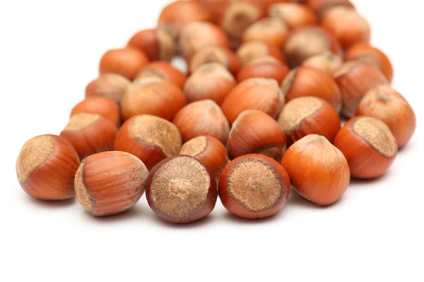 Hazelnuts (filbert) Stock Picture
