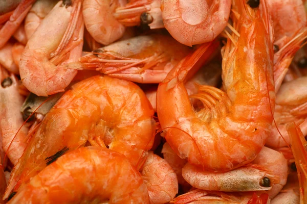 Stock image Cooked shrimps.