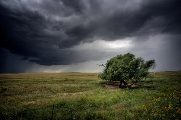 Erős vihar összegyűjti a síkság felett Stock Kép