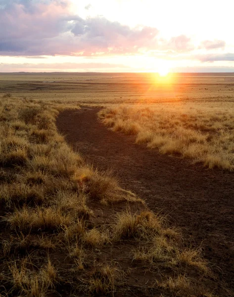 Hoge woestijn zonsondergang — Stockfoto