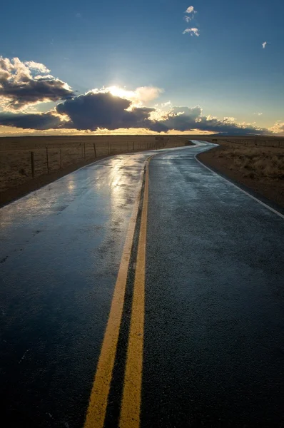 Sarı Merkez çizgisi ile ıslak yol — Stok fotoğraf