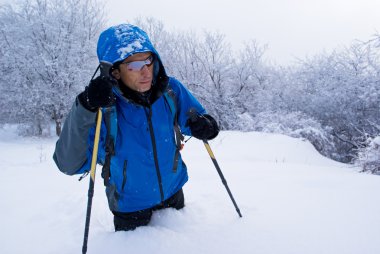 A backpacker man going in forest clipart