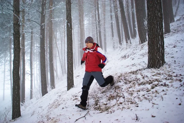 Futó ember, téli hegyi erdő — Stock Fotó