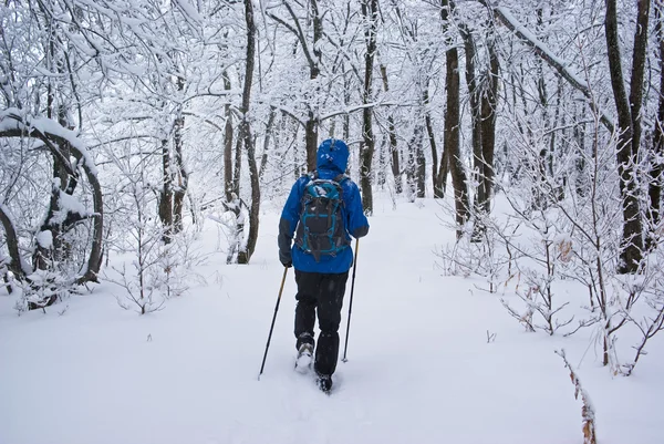 En backpacker man går i skogen — Stockfoto