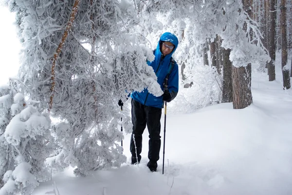 Kış orman içinde bir backpacker adam — Stok fotoğraf