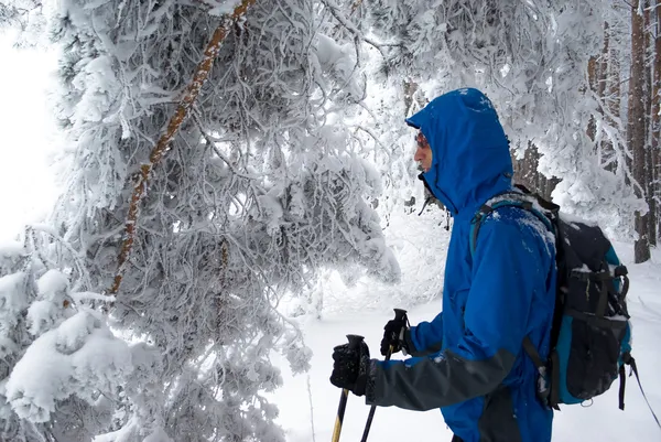 冬の森のバックパッカー男 — ストック写真