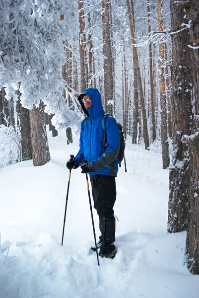 Backpacker człowieka w lesie zimą — Zdjęcie stockowe