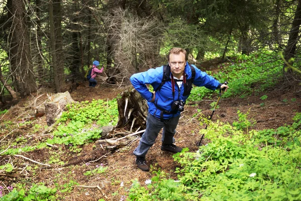 Homem mochileiro na floresta de pinheiros de montanha — Fotografia de Stock