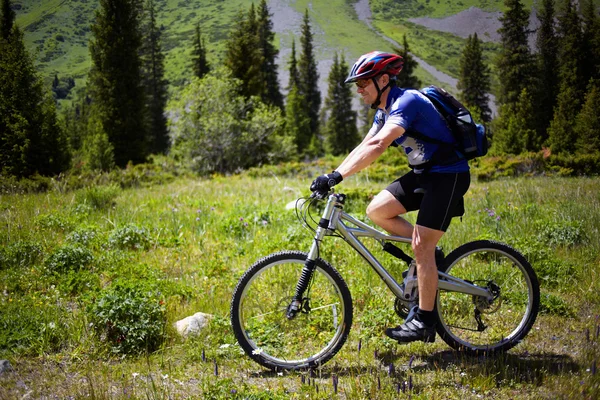 Motociclista en sendero en las montañas de verano — Foto de Stock