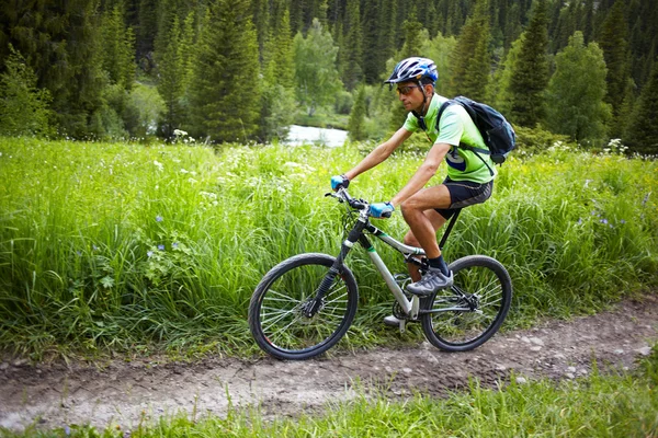 Motociclista en sendero en las montañas de verano — Foto de Stock