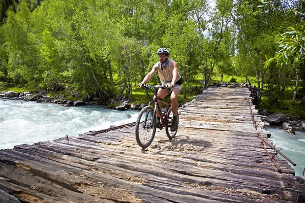 Горный велосипедист идет по старому деревянному мосту — стоковое фото
