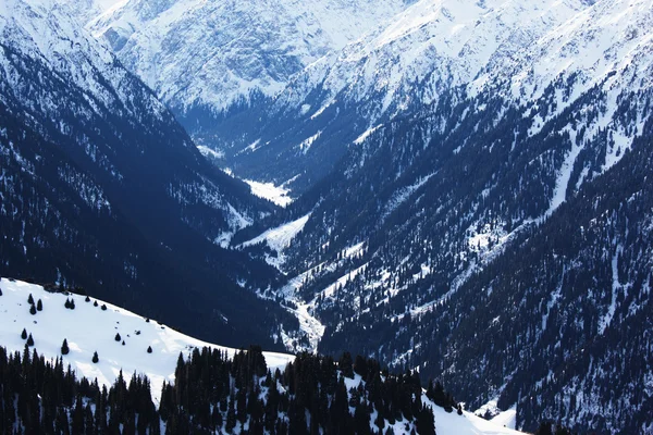높은 산 협곡의 겨울 — 스톡 사진