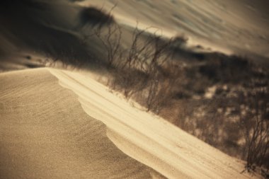 Sand storm in desert clipart