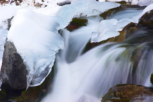 물과 얼음 — 스톡 사진