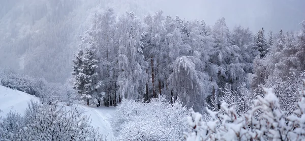 Χειμώνα Πανόραμα — Φωτογραφία Αρχείου