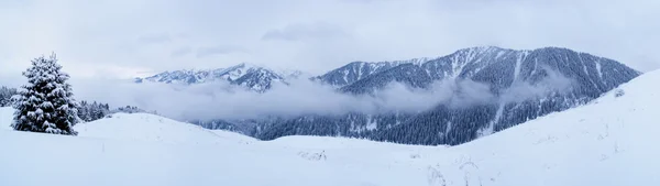 겨울 산 파노라마 — 스톡 사진