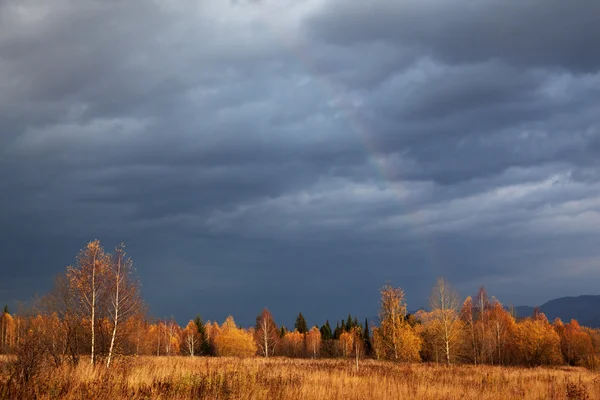 Foresta di autunno e un arcobaleno — Foto Stock