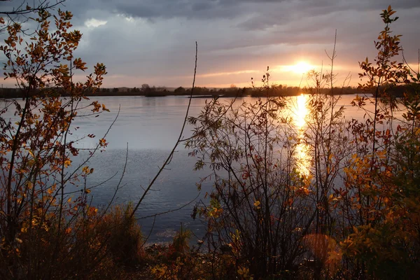 Pôr do sol em árvores de rio e outono — Fotografia de Stock