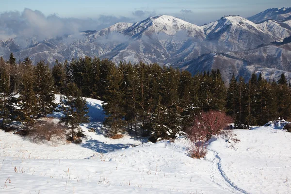 Chodnik w góry zimą — Zdjęcie stockowe