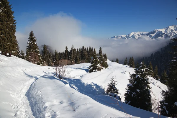 Passo a passo nas montanhas de inverno — Fotografia de Stock