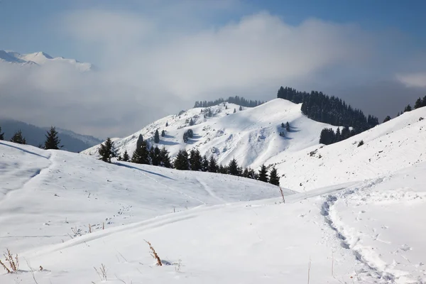 冬の山の小道 — ストック写真