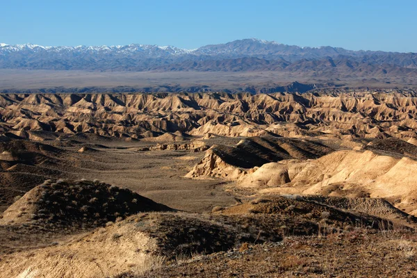 Yellow canyon in deserts of Kazakhstan — Stock Photo, Image