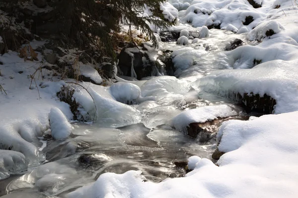 Ruisseau d'hiver — Photo
