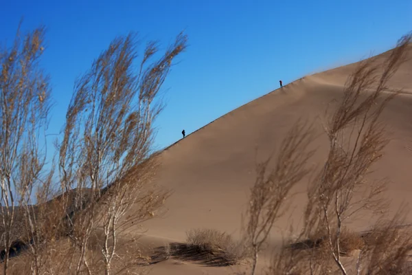 Dwa sylwetka na wydmie w burzy piaskowej — Zdjęcie stockowe
