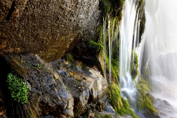 Waterfall close-up — Stock Photo, Image