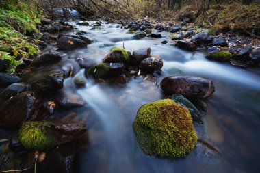 River in mountain forest clipart