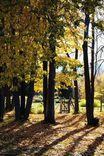 Autumn park and old gate — Stock Photo, Image