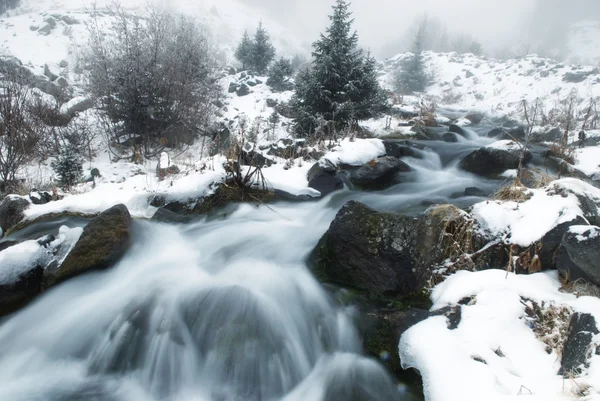 Fog and winter creek — Stock Photo, Image