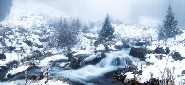 Nevoeiro em montanhas de inverno panorâmica — Fotografia de Stock