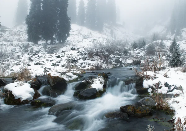 Nebbia e torrente invernale — Foto Stock