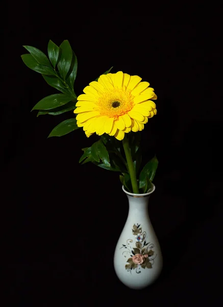 stock image Yellow flover gerbera isolated on black