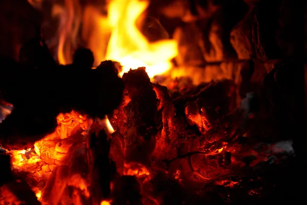 Close-up of campfire — Stock Photo, Image