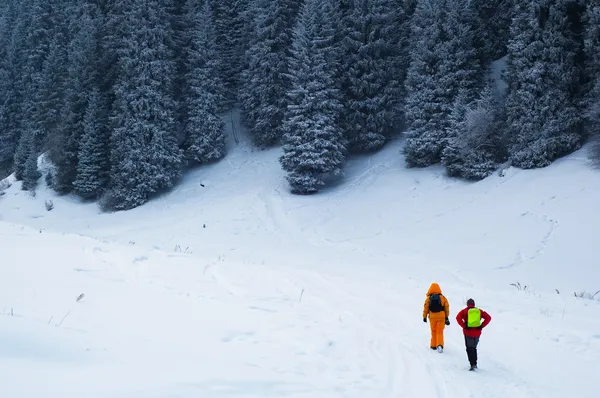 Copule hátizsákos turisták, a téli erdő — Stock Fotó