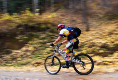 hızlı hareket Mountainbiker orman