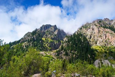 Summer mountain rocks inclouds