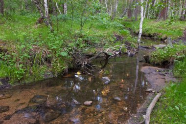 ormandaki Creek