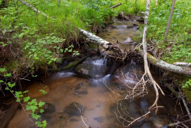 ormandaki Creek