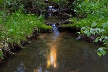 Creek ve güneş ışığı