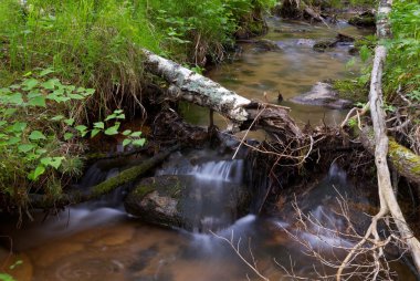 ormandaki Creek