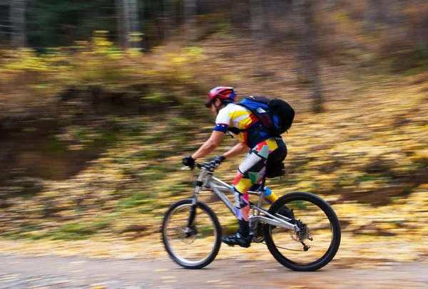Fast motion mountain biker in forest — Stock Photo, Image