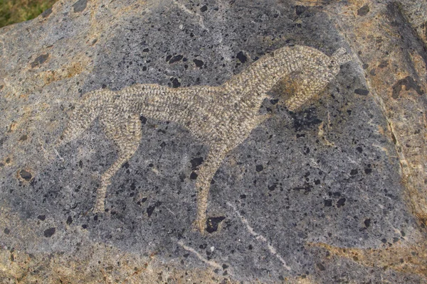 Лошадь - примитивное искусство, рисующее на камне — стоковое фото
