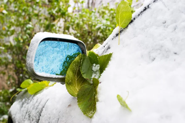 Πράσινο φύλλο και το πρώτο χιόνι στα αυτοκίνητα — Φωτογραφία Αρχείου